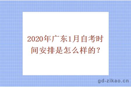 2020年广东1月自考时间安排是怎么样的？