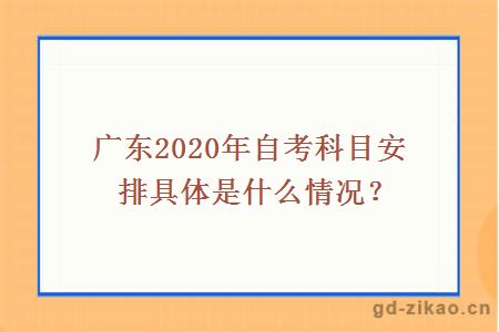 广东2020年自考科目安排具体是什么情况？