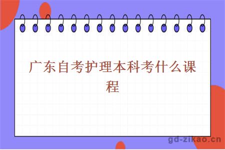 广东自考护理本科考什么课程