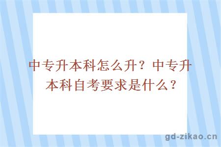 中专升本科怎么升？中专升本科自考要求是什么？