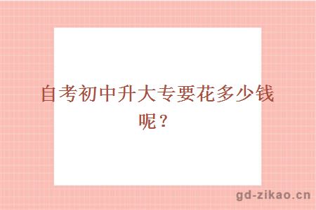 自考大专