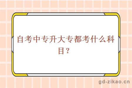 自考