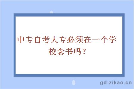自考大专
