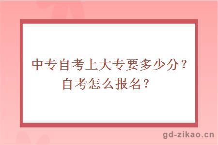 中专自考大专