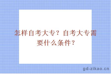 自考大专