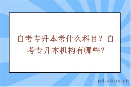 自考专升本考什么科目？自考专升本机构有哪些？