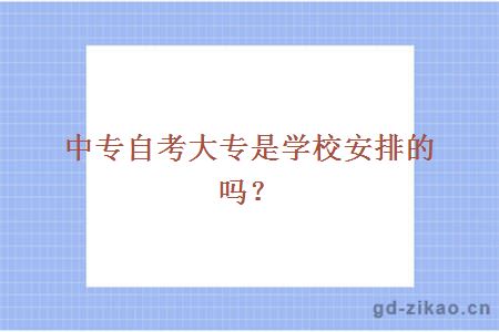 中专自考大专是学校安排的吗？