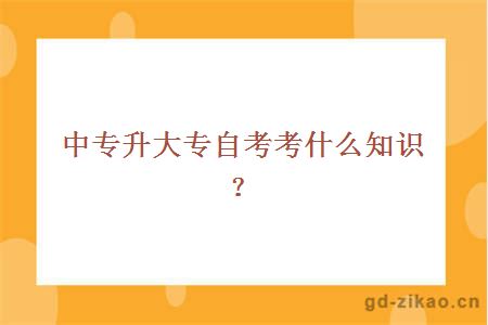 中专升大专自考考什么知识？