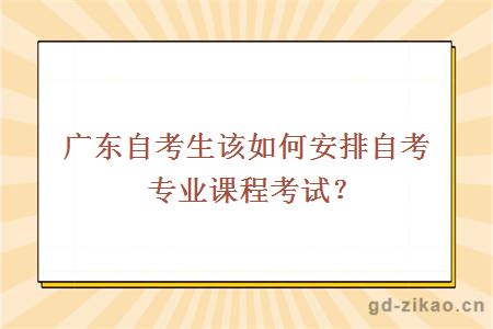 广东自考生该如何安排自考专业课程考试？