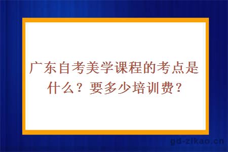 广东自考美学课程的考点是什么？要多少培训费？