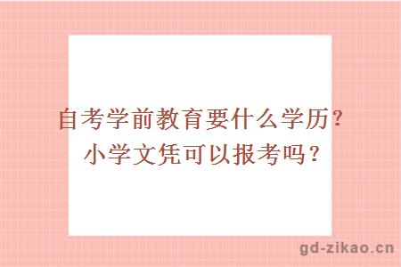 自考学前教育要什么学历？小学文凭可以报考吗？