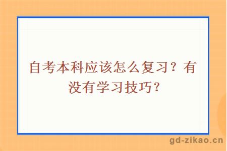 自考本科应该怎么复习？有没有学习技巧？