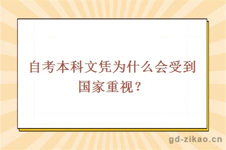 自考本科文凭为什么会受到国家重视？