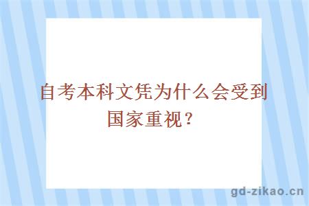 自考本科文凭为什么会受到国家重视？