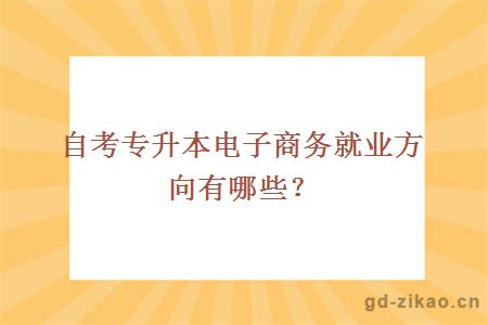 自考专升本电子商务就业方向有哪些？