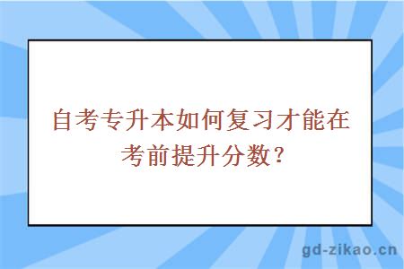 自考专升本如何复习才能在考前提升分数？