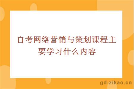 自考网络营销与策划课程主要学习什么内容
