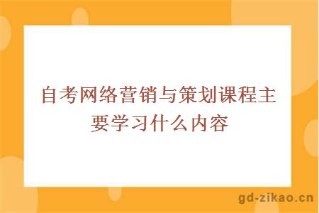 自考网络营销与策划课程主要学习什么内容