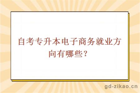 自考专升本电子商务就业方向有哪些？