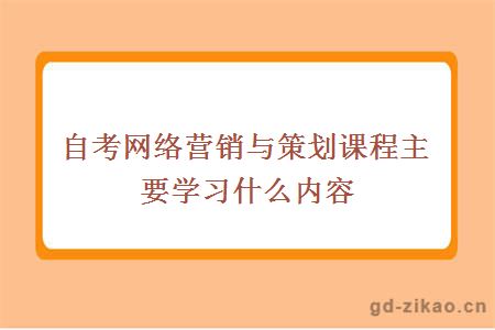 自考网络营销与策划课程主要学习什么内容