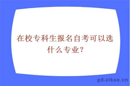 在校专科生报名自考可以选什么专业？