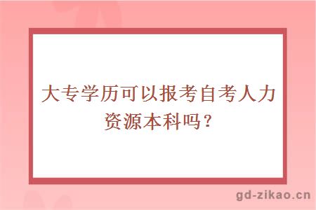 大专学历可以报考自考人力资源本科吗？