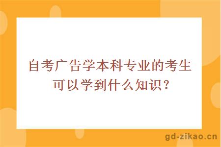 自考广告学本科专业的考生可以学到什么知识？