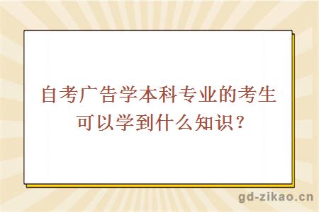 自考广告学本科专业的考生可以学到什么知识？