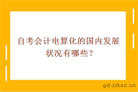 自考会计电算化的国内发展状况有哪些？