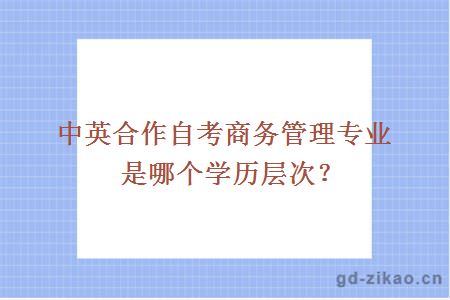 中英合作自考商务管理专业是哪个学历层次？