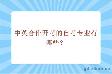 中英合作开考的自考专业有哪些？