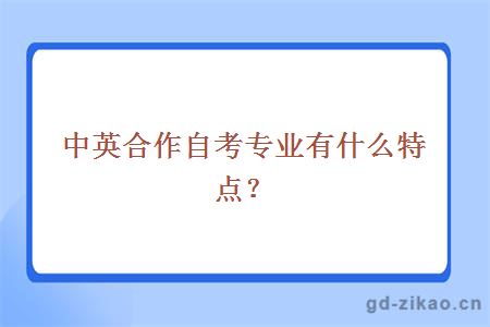 中英合作自考专业有什么特点？