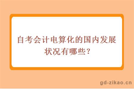 自考会计电算化的国内发展状况有哪些？