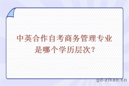 中英合作自考商务管理专业是哪个学历层次？
