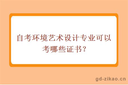 自考环境艺术设计专业可以考哪些证书？