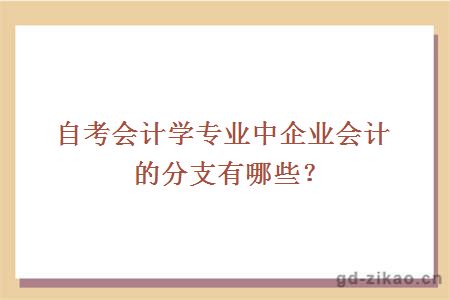 自考会计学专业中企业会计的分支有哪些？