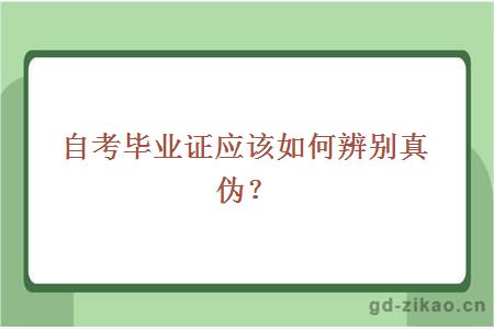 自考毕业证应该如何辨别真伪？