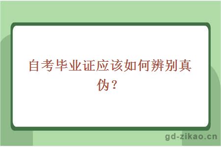 自考毕业证应该如何辨别真伪？