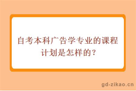 自考本科广告学专业的课程计划是怎样的？