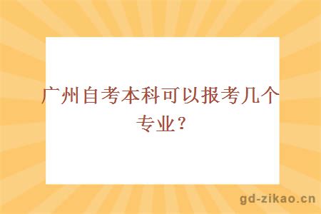 广州自考本科可以报考几个专业？