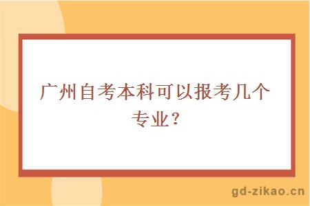 广州自考本科可以报考几个专业？