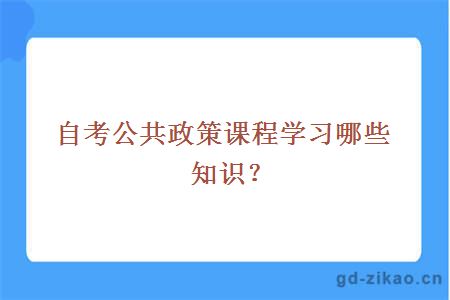 自考公共政策课程学习哪些知识？