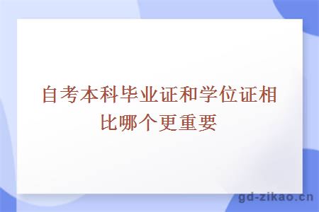 自考本科毕业证和学位证相比哪个更重要