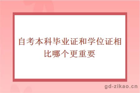 自考本科毕业证和学位证相比哪个更重要