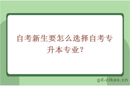 自考新生要怎么选择自考专升本专业？