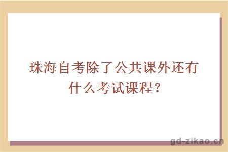 珠海自考除了公共课外还有什么考试课程？