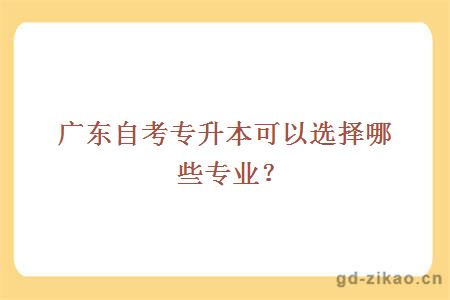 广东自考专升本可以选择哪些专业？