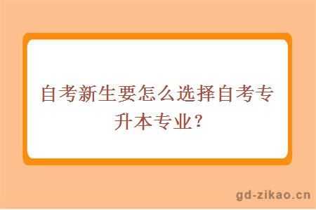 自考新生要怎么选择自考专升本专业？