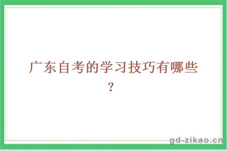 广东自考的学习技巧有哪些？