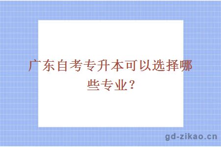 广东自考专升本可以选择哪些专业？